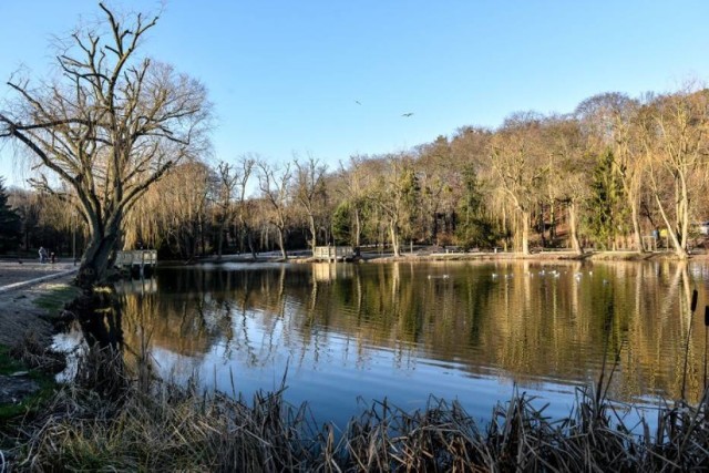 Niedawno pisaliśmy o rewitalizacji jaką przeszedł Park Oruński.  Po niej wygląda rewelacyjnie