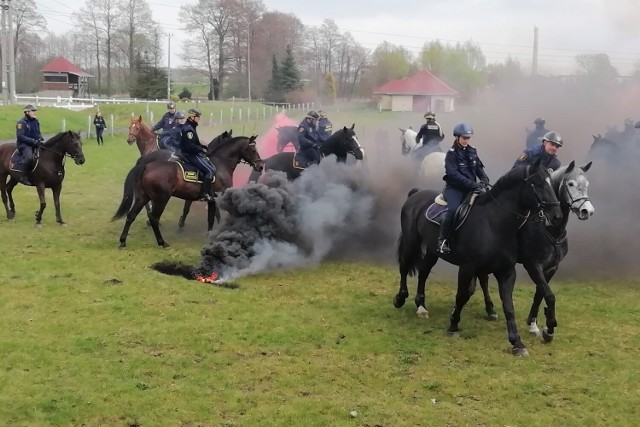 Jeździeckie szkolenia służb mundurowych w Gajewnikach koło Zduńskiej Woli