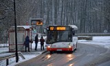 Jastrzębie: jak w trakcie świąt będzie kursowała komunikacja miejska? Autobusy MZK pojadą według świątecznego i wakacyjnego rozkładu jazdy