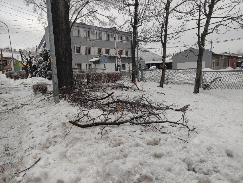 Drzewo spadło na samochód w Jedlinie-Zdroju! Kierowca oszukał przeznaczenie. Ponad 200 interwencji strażaków w weekend! Służby apelują
