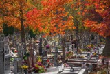 Podlaskie. Weekend przed Świętem Zmarłych na podlaskich cmentarzach na zdjęciach członków grupy FotoSpółdzielnia 