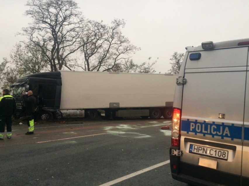 Śmiertelny wypadek na DK 22 w powiecie malborskim [ZDJĘCIA]. Kierowca samochodu osobowego zginął na miejscu