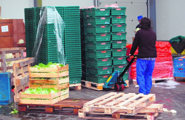 W skupie warzyw i owoców Bonako zatrudnionych jest ponad 60 osób