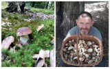 Jak grzyby po deszczu... W Śląskiem wysyp grzybów i grzybiarzy. Zobaczcie ZDJĘCIA zdjęcia naszych internautów!