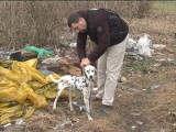 Dzięki szybkiej reakcji, wolontariuszy uratowano psa