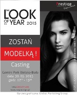 The Look of The Year 2015 w Bielsku-Białej - Casting 