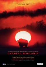 "Cząstka Podlasia". Film podbija Polskę (wideo)