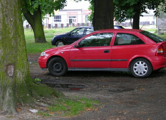 Codziennie kilka aut parkuje między drzewami