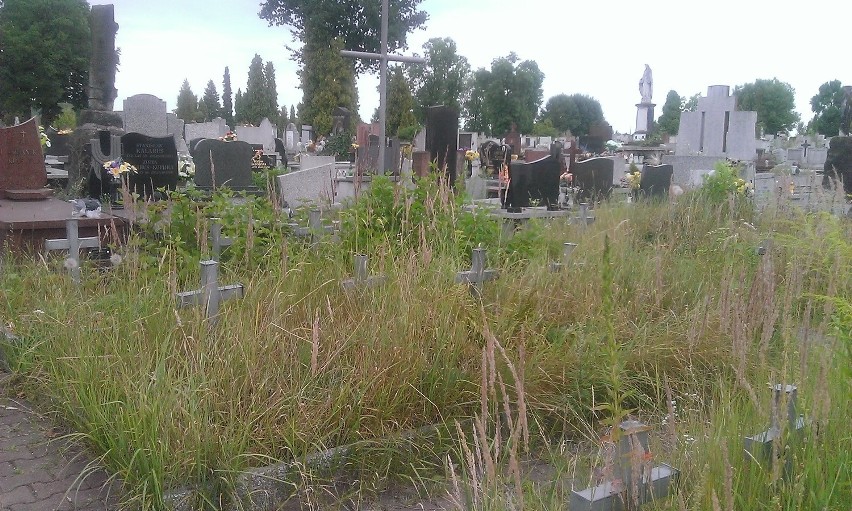 Cmentarz przy ul. 11 Listopada: warto dbać o żołnierskie...