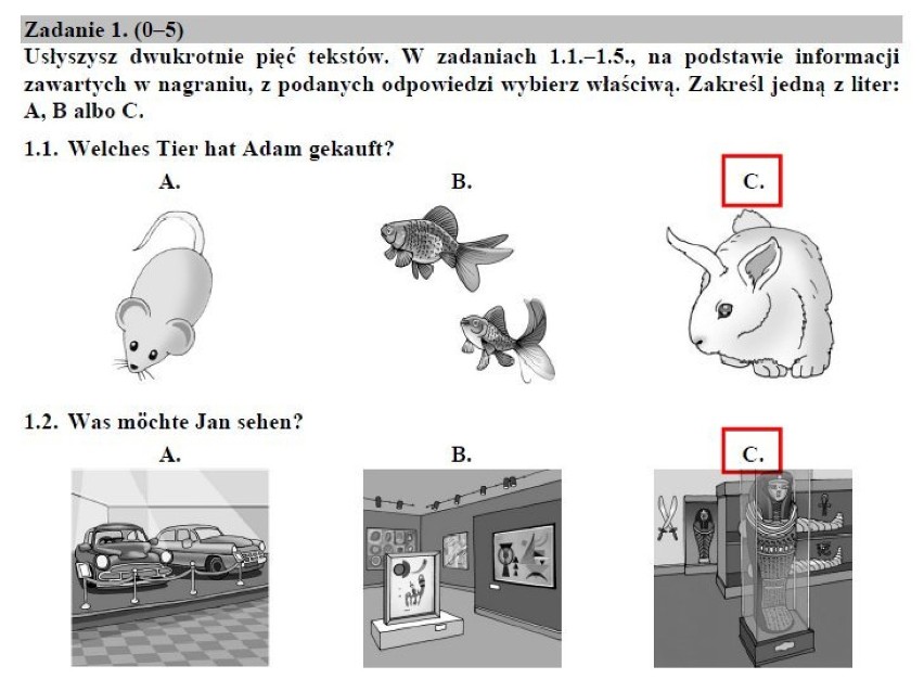 EGZAMIN GIMNAZJALNY 2018. Język niemiecki poziom podstawowy - arkusze CKE i odpowiedzi [20.04.2018]