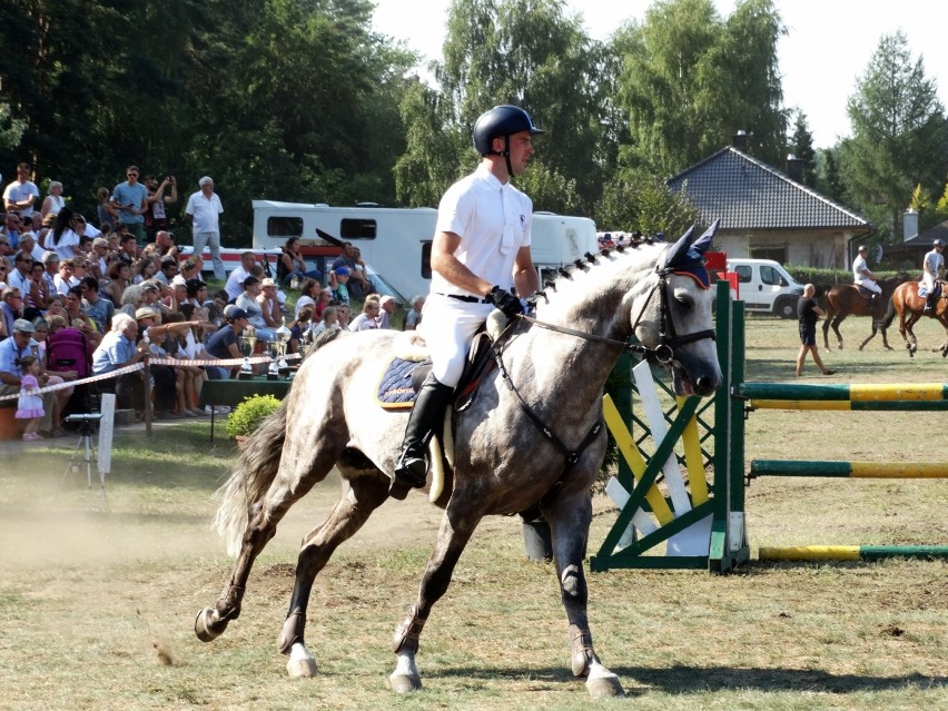 W Dziembówku odbyła się Wielka Gala Jeździecka w Kaczorach w Skokach Przez Przeszkody. Zobaczcie zdjęcia z tej imprezy
