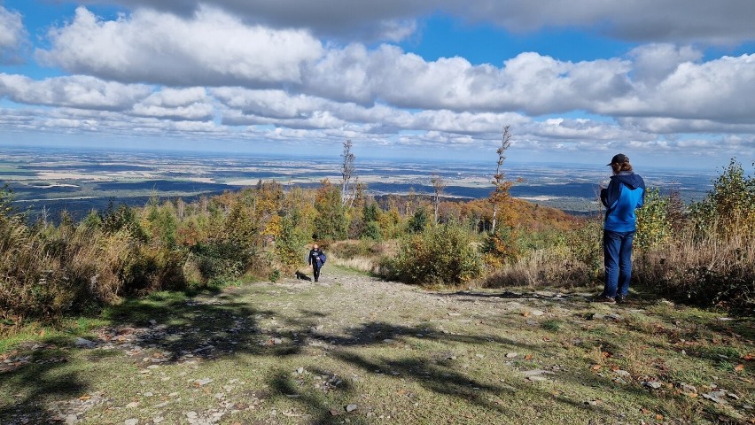 Tak jesienią wyglądają Góry Opawskie.