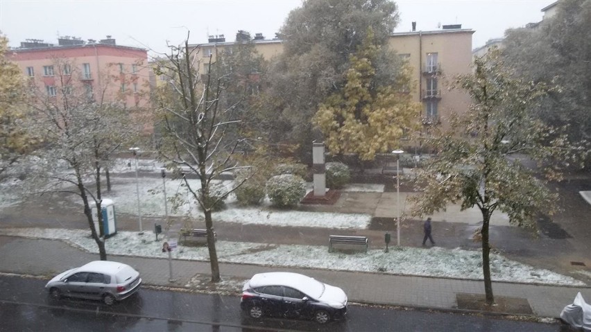 Pierwszy śnieg w Częstochowie [FOTO]