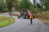 Pszczew: Kontrowersyjna wycinka drzew przy ulicy Kasztanowej. Nie będzie kasztanowców, ale będzie chodnik