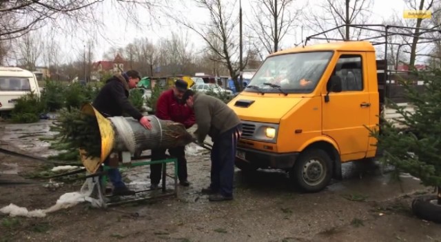 Takiej metody pakowania choinki na pewno nie znacie