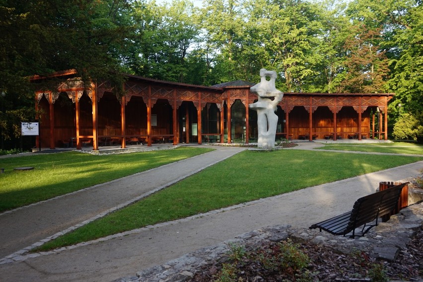 Park Zdrojowy w Jastrzębiu utonął w kwiatach!