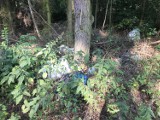 Ktoś wywozi śmieci do lasu pod Gronówkiem. Mieszkańcy organizują spontaniczną akcję sprzątania [ZDJĘCIA] 