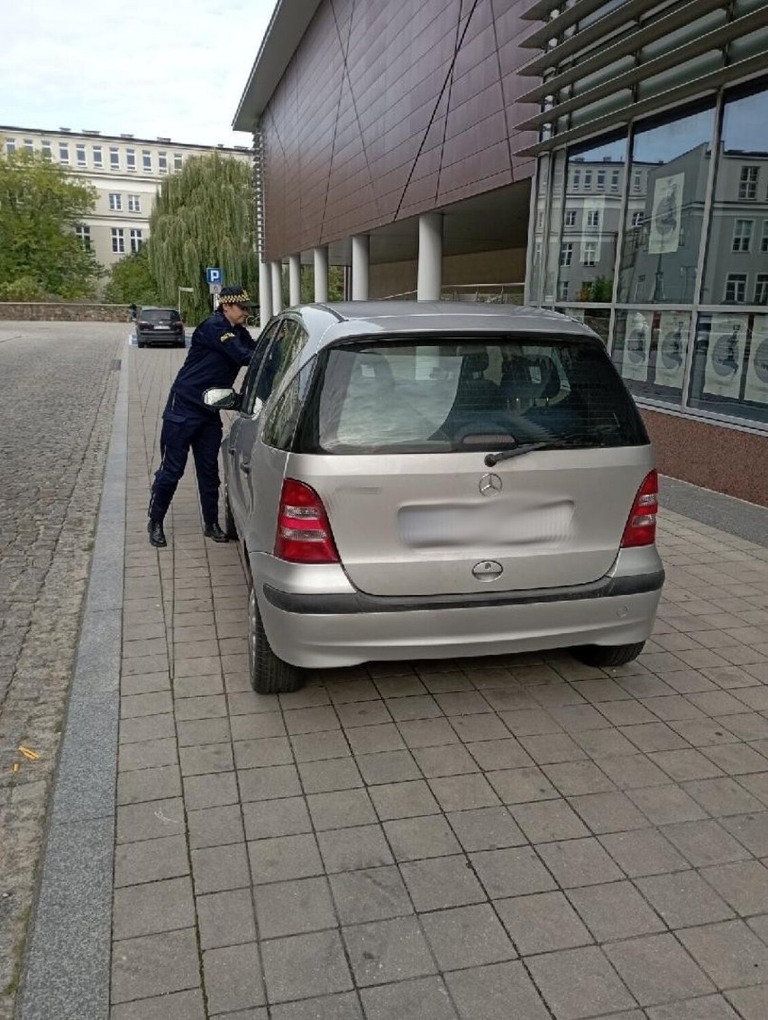 Upomnienia zamiast mandatów od Straży Miejskiej w Kielcach dla kierowców źle parkujących. Jak długo potrwa akcja?