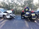 Wypadek w Andrzejowie. Zderzyły się dwa auta [zdjęcia]
