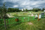 Minigolf w Koszalinie. Zmarnowana atrakcja w mieście?