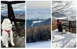 Białowodzka Góra zimą zachwyca. W tym rezerwacie przyrody nie spotkacie tłumów turystów