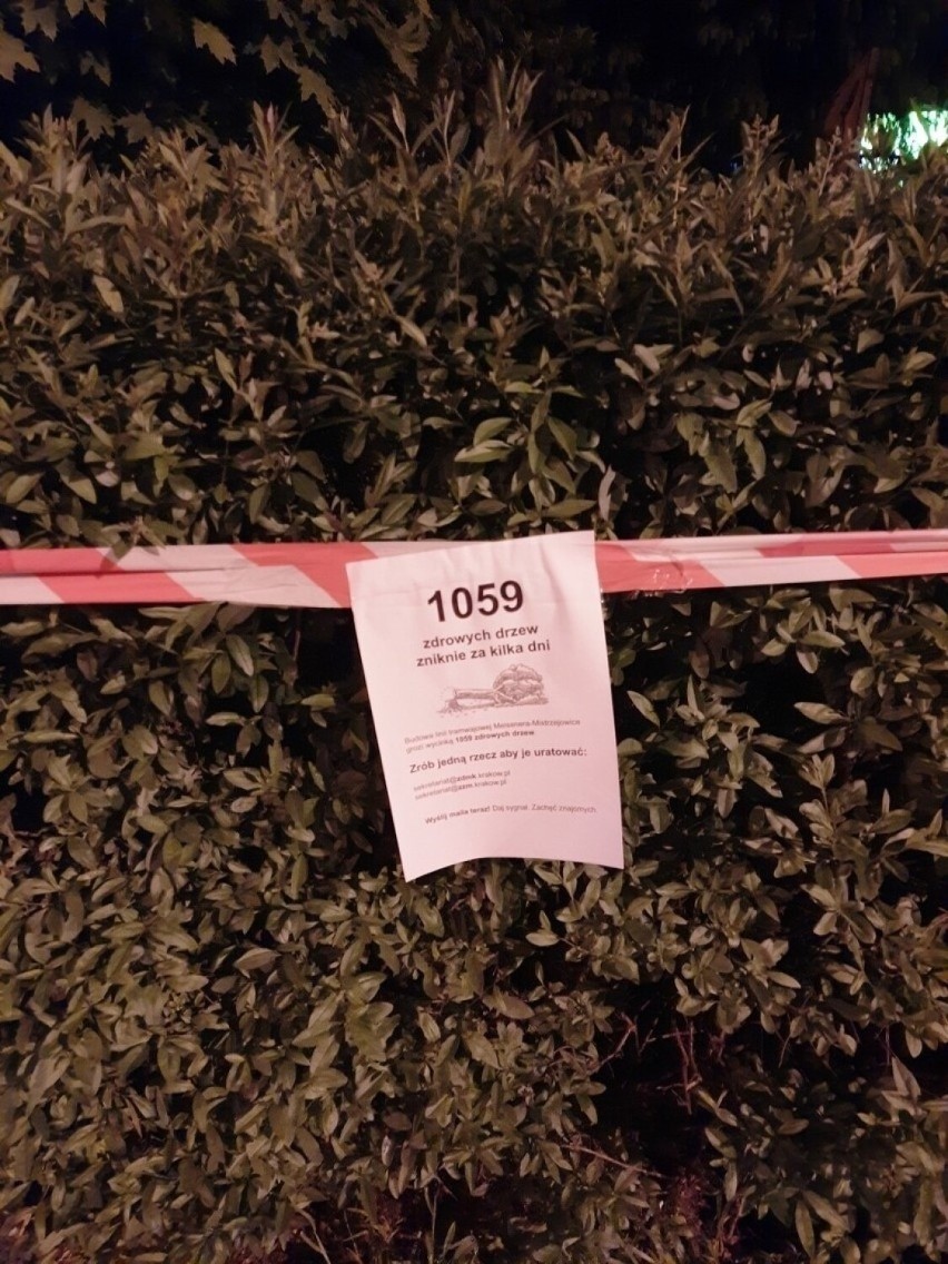 Mieszkańcy zorganizowali protest przeciwko wycince drzew pod...