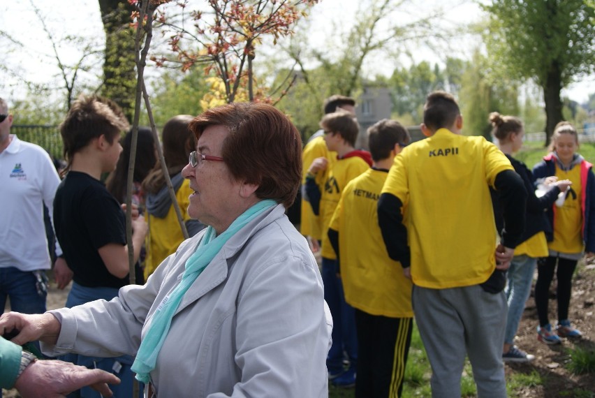 Będzin: sadzili drzewa nad Przemszą po raz kolejny