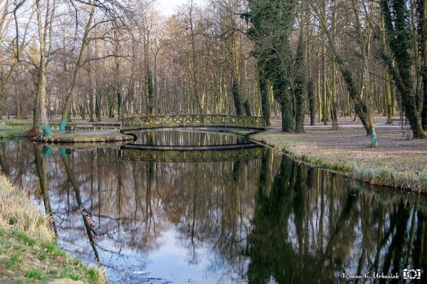 Pleszew. Wiosenne i pełne słońca popołudnie w pleszewskich...