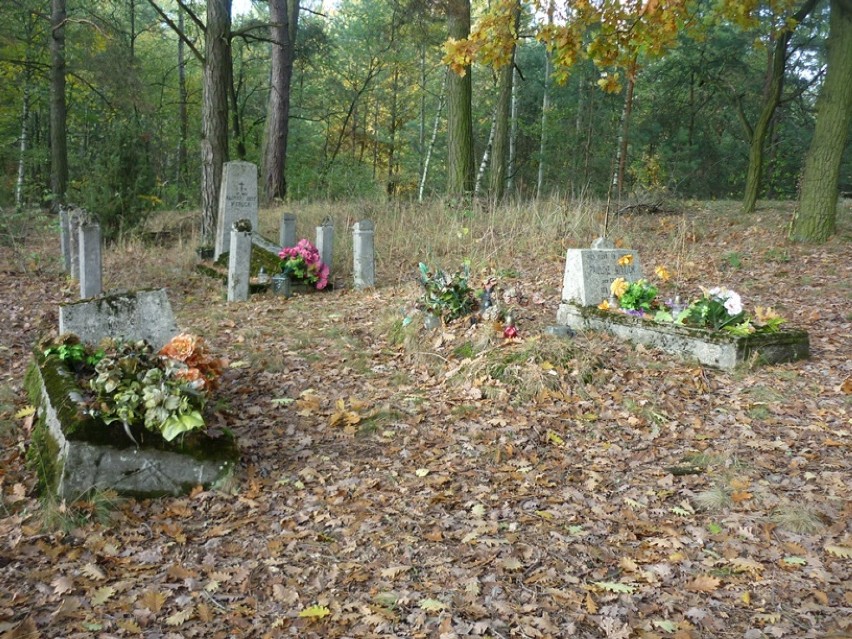 Zapomniane cmentarze. Cmentarz ewangelicko-augsburski w Świątkowicach (ZDJĘCIA)