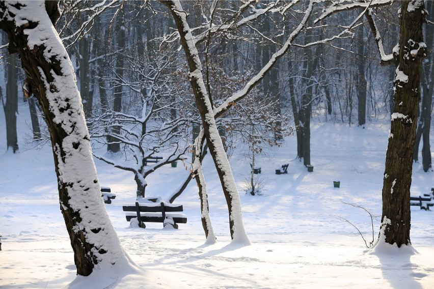 Mazowiecki Park Krajobrazowy zimą jest rajem dla narciarzy....