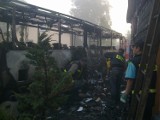 Pożar w Katach w gm. Żytno. Płonął dom i autobus. 180 tys. zł strat