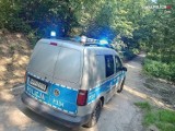 Policyjna akcja w żorskim lesie. 23-letnia złodziejka uciekała przed policją przez las