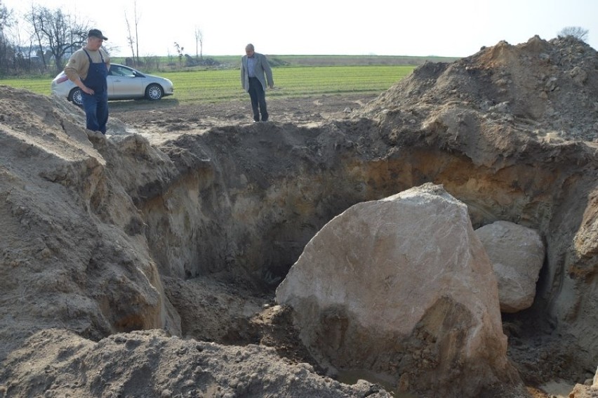 Głaz gigant odkryty na polu rolnika w Domaniewie