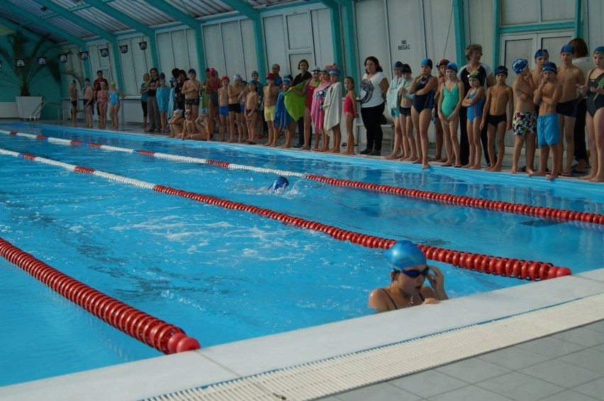 Zawody pływackie w Wodzisławiu