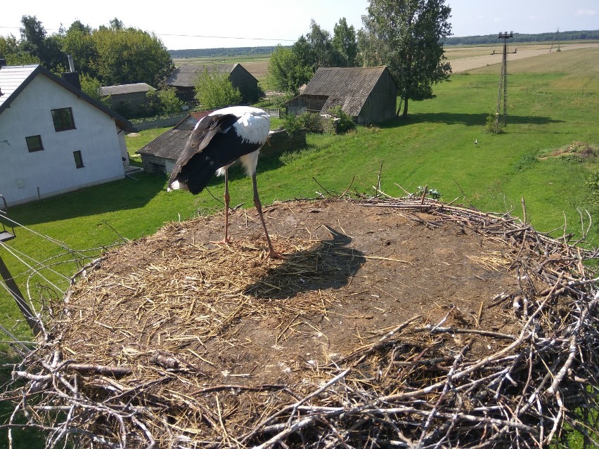 Tylko u nas! Fachowiec zdradza, kiedy będzie wiosna!