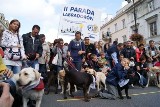 II Parada Labradorów w Warszawie - fotogaleria
