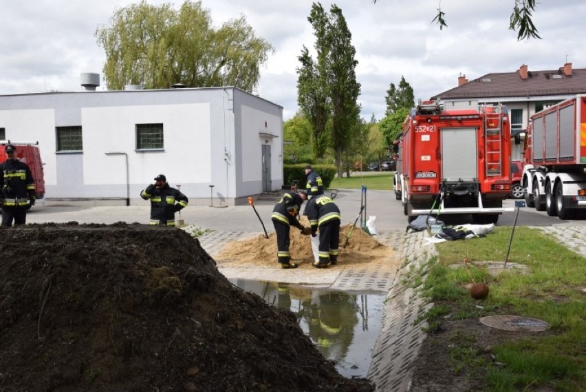 Ćwiczenia przeciwpowodziowe w Pruszczu. Radunia wylała - strażacy ratowali WiK i testowali nowe urządzenia [ZDJĘCIA, WIDEO]