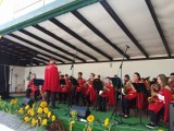 Przegląd pieśni i tańców ludowych w Mzurkach