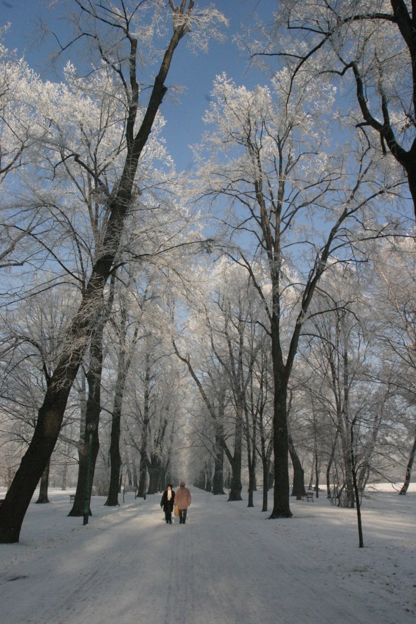 Tak wyglądała zima 12 lat temu w Legnicy i okolicy [ZDJĘCIA]