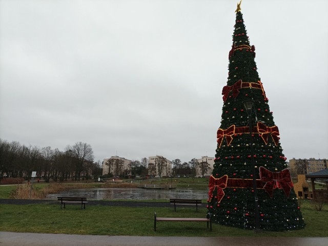 Świąteczne drzewko z placu Wolności przeniesiono na tereny rekreacyjne koło osiedla Kopernika w Szczecinku
