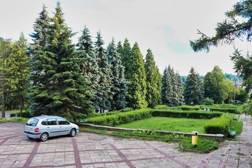 Mieszkańcy Starachowic zdecydowali, że nie będzie wycinki drzew przed Parkiem Kultury