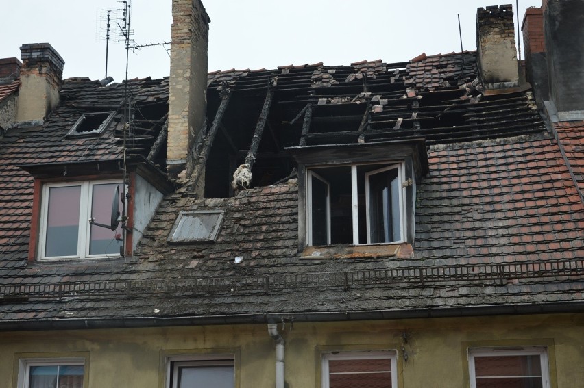 Wiele wskazuje na to, że pożar został wzniecony, by zatrzeć...