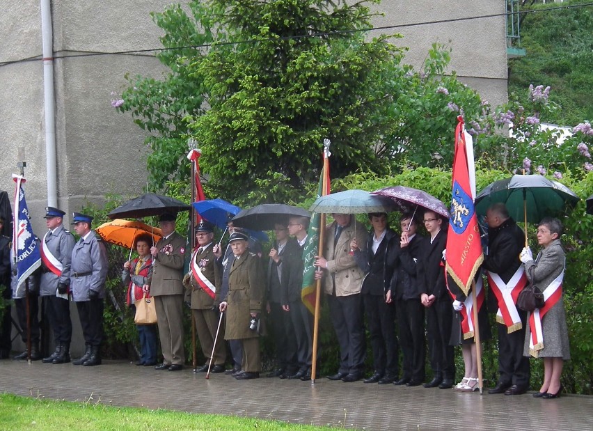 Gorlice. Dzień Zwycięstwa - 69 rocznica zakończenia II wojny światowej [ZDJĘCIA]