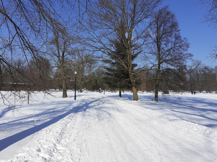 Park w Świerklańcu zimą - idealne miejsce na walentynki 2021 [ZDJĘCIA]