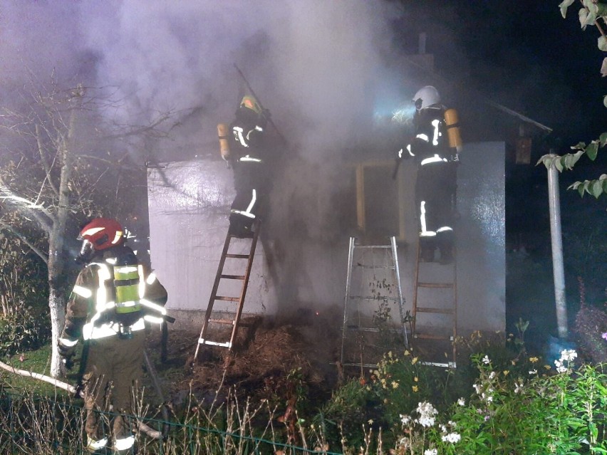 Pożar domku letniskowego przy ul. Kaczorowy w Jaśle