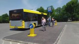 Bezpłatnym autobusem na Dni Bukowna. ZKGKM w Olkuszu uruchomi dodatkowe kursy komunikacji publicznej. Sprawdź rozkład jazdy  [ZDJĘCIA] 