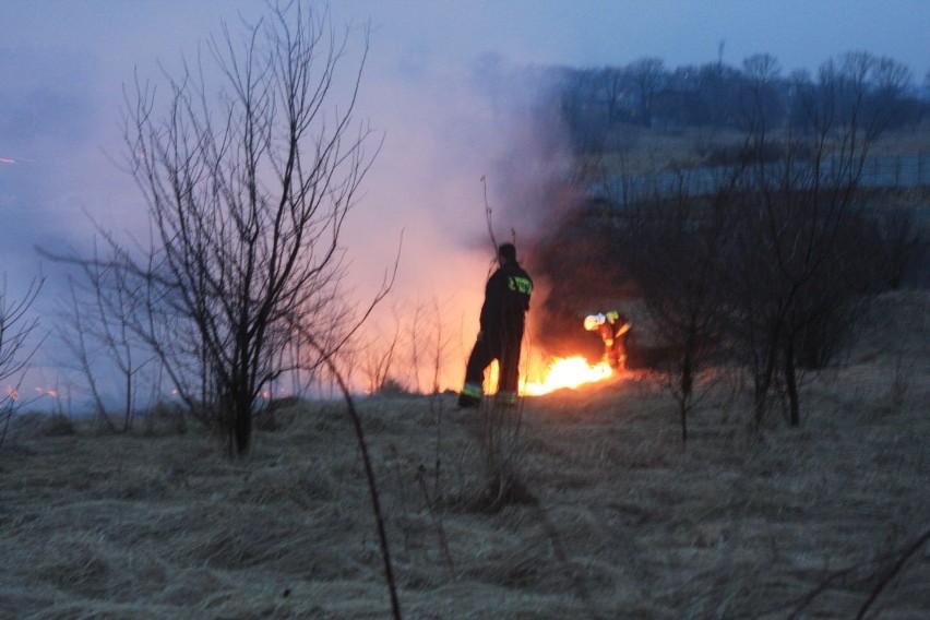 Pożar łąk w Świerklańcu. Ogień był 50 metrów od domów [ZDJĘCIA]