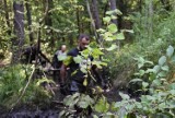Oznaczenia trasy Biegu Katorżnika zaśmiecają las? Radny apeluje o ich posprzątanie