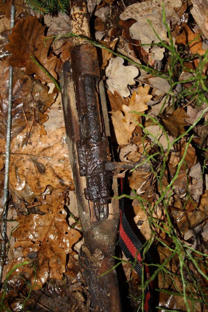Ciało mężczyzny z raną postrzałową pleców odnaleziono w lesie [ZDJĘCIA]