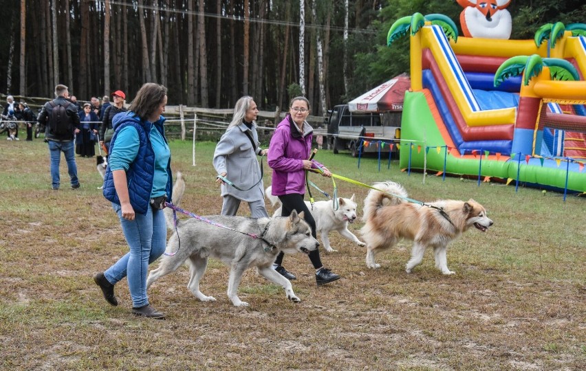 Gm. Pniewy. "Wyścig przez Wieki" po raz piąty w Zajączkowie. Cóż to były za emocje!